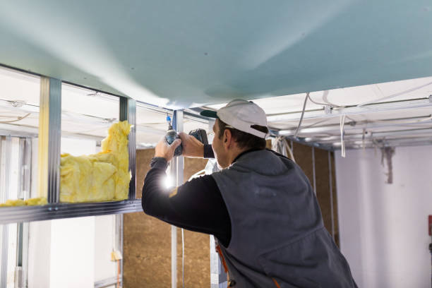 Best Insulation Installation Services in Edgerton, OH