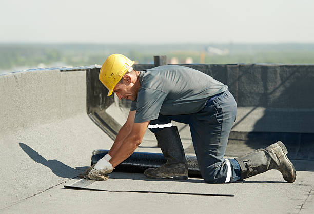 Best Insulation Maintenance and Repair in Edgerton, OH